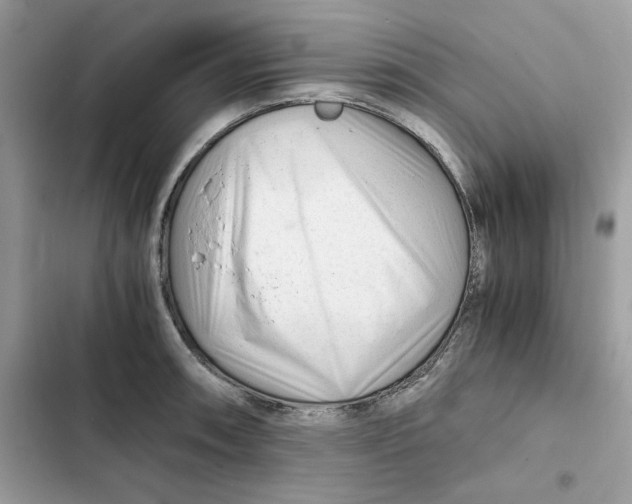 X0000101961090200808151309