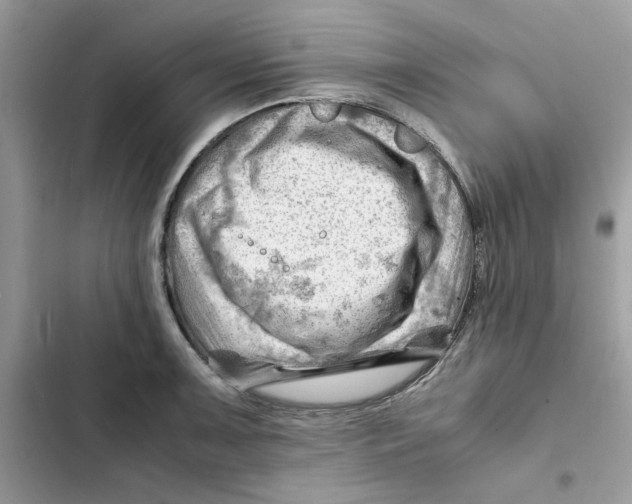 X0000101961091200808151309