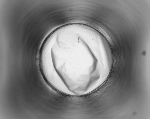 X0000101961092200808151309