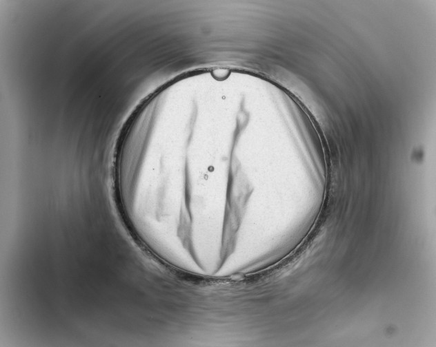 X0000101961093200808151309