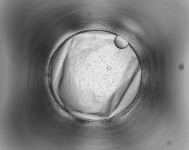 X0000101961094200808151309