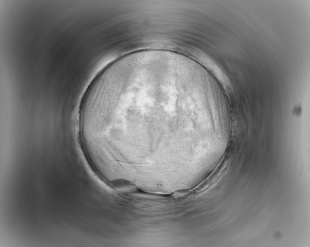 X0000101961095200808151309