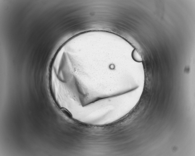 X0000101961096200808151309