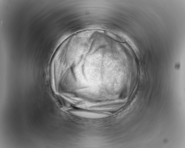 X0000101961097200808151309