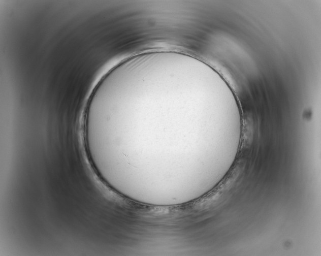 X0000101961098200808151309