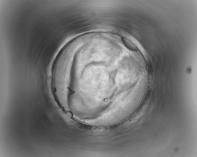 X0000101961099200808151309