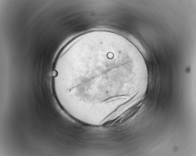 X0000101961100200808151309