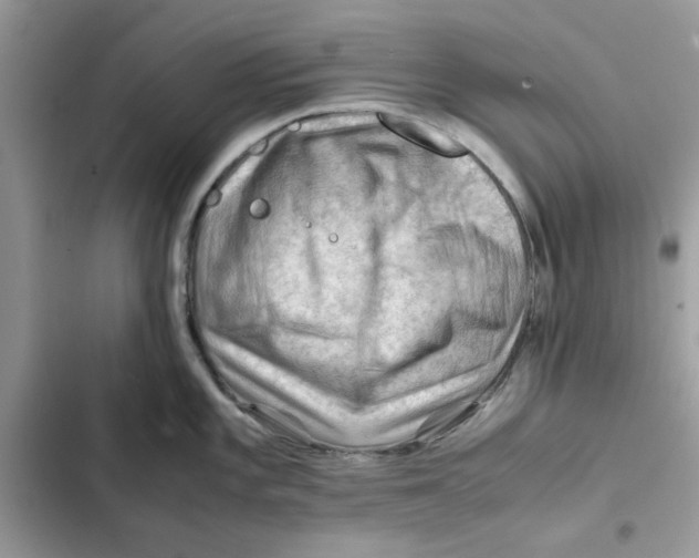 X0000101961101200808151309