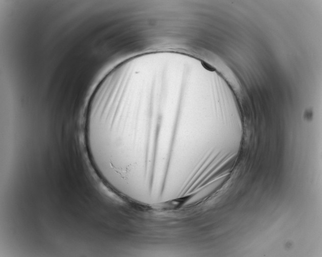 X0000101961102200808151309
