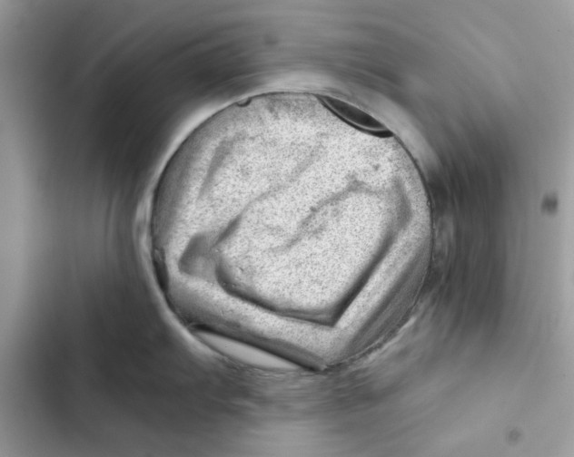 X0000101961103200808151309
