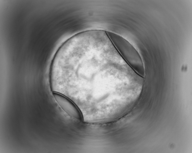 X0000101961104200808151309