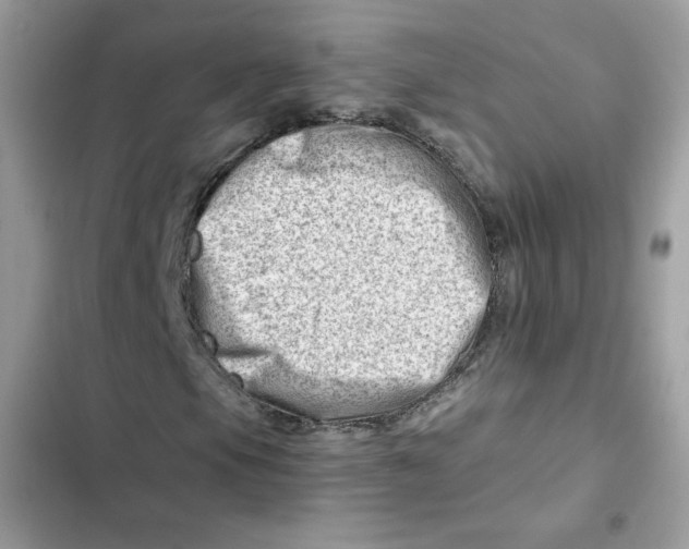 X0000101961105200808151308