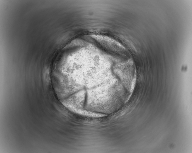 X0000101961106200808151308
