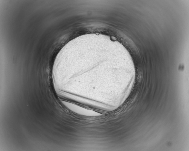 X0000101961108200808151308