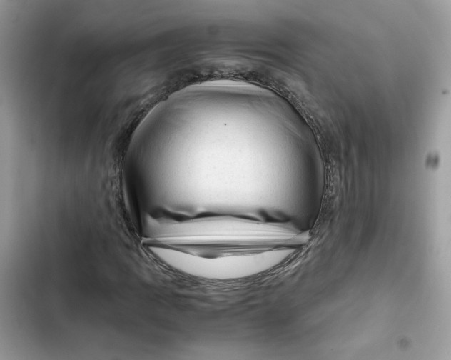 X0000101961109200808151308