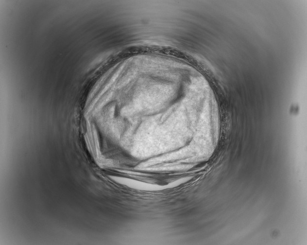 X0000101961110200808151309