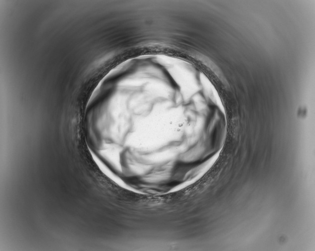 X0000101961111200808151309