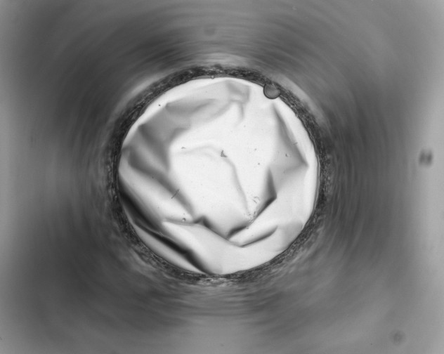 X0000101961112200808151309