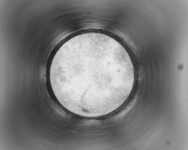 X0000101961113200808151309