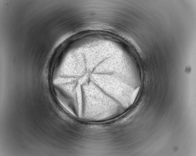 X0000101961114200808151309