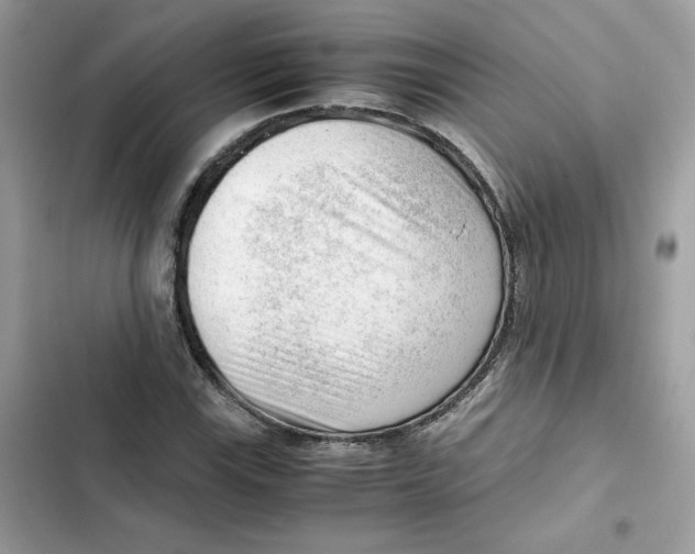 X0000101961115200808151309