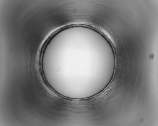 X0000101961116200808151309