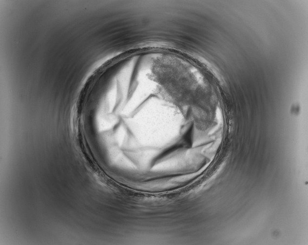 X0000101961117200808151309
