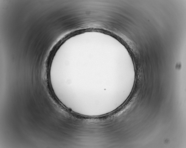 X0000101961118200808151309