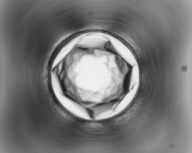 X0000101961119200808151309