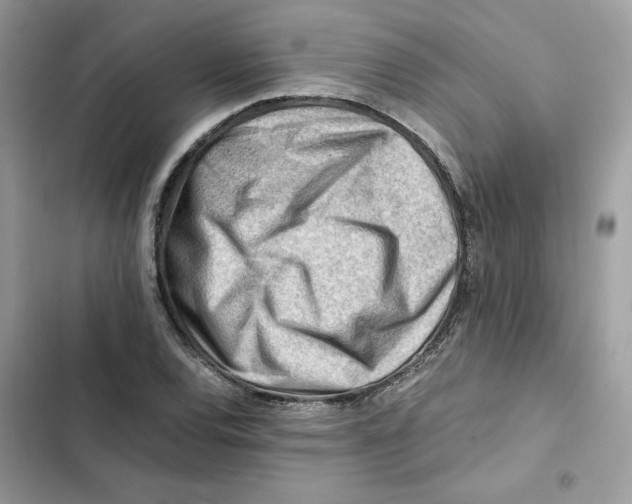 X0000101961120200808151309