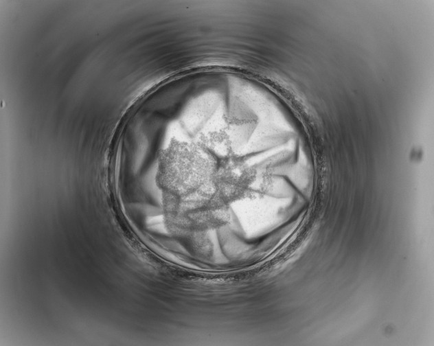 X0000101961121200808151309