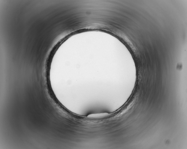 X0000101961122200808151309
