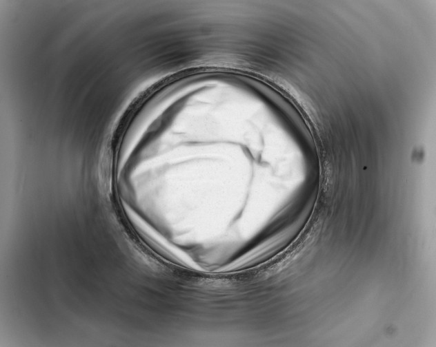 X0000101961123200808151309