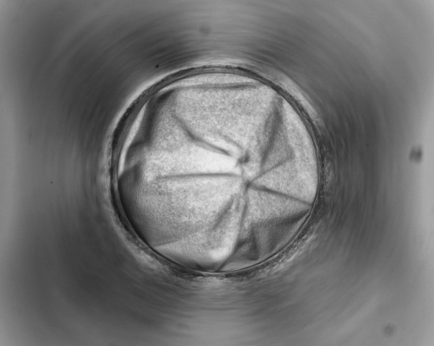 X0000101961124200808151309