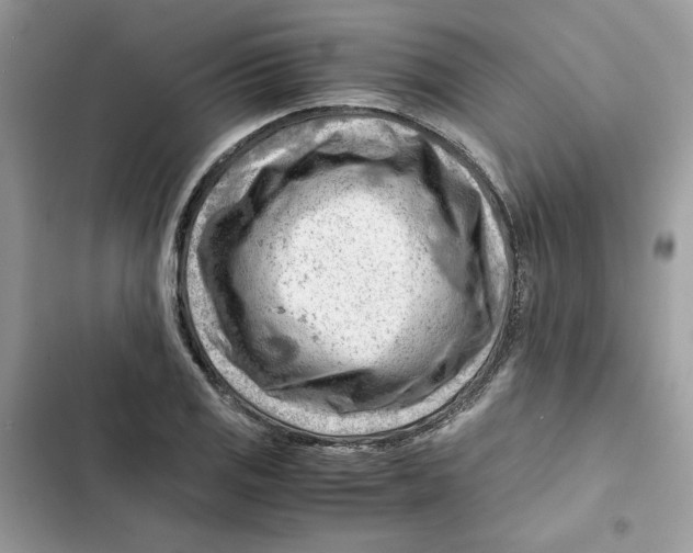 X0000101961125200808151309