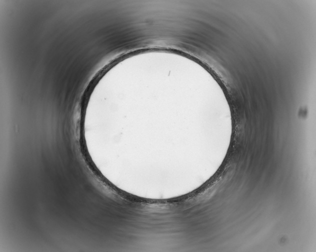 X0000101961126200808151309