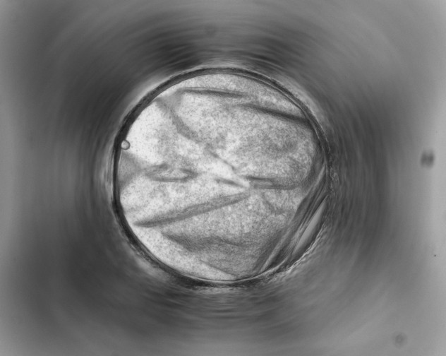 X0000101961127200808151309