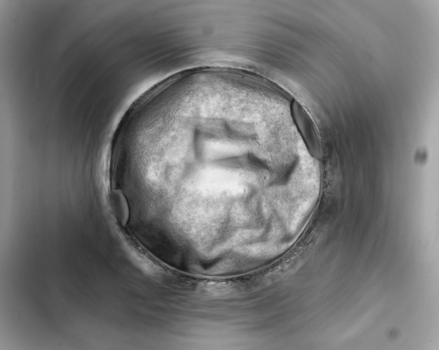 X0000101961128200808151309
