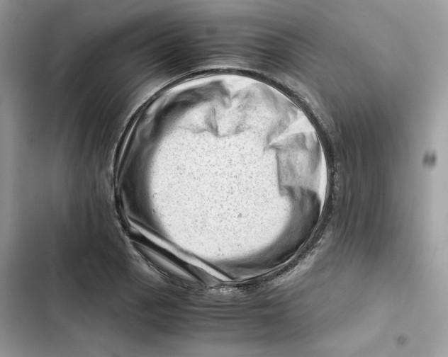 X0000101961129200808151309