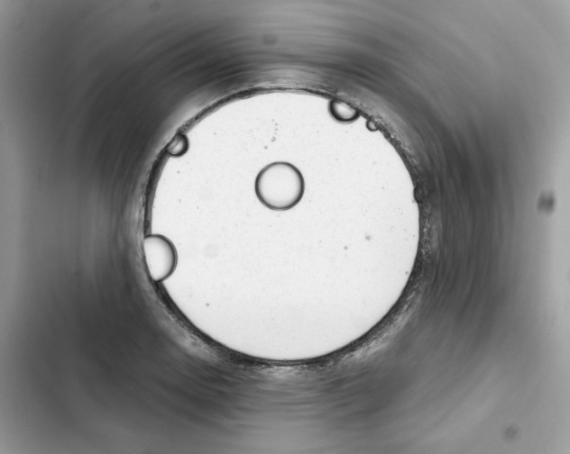 X0000101961130200808151309