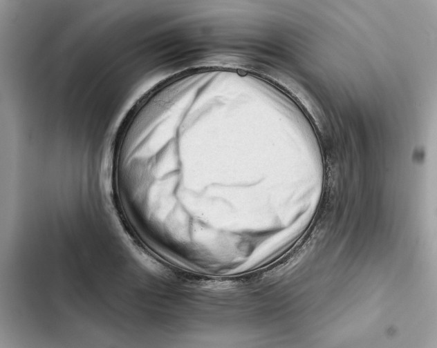 X0000101961131200808151309