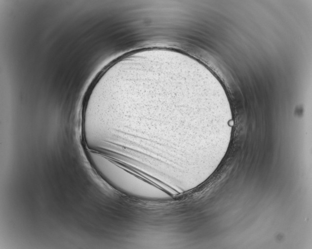 X0000101961132200808151309