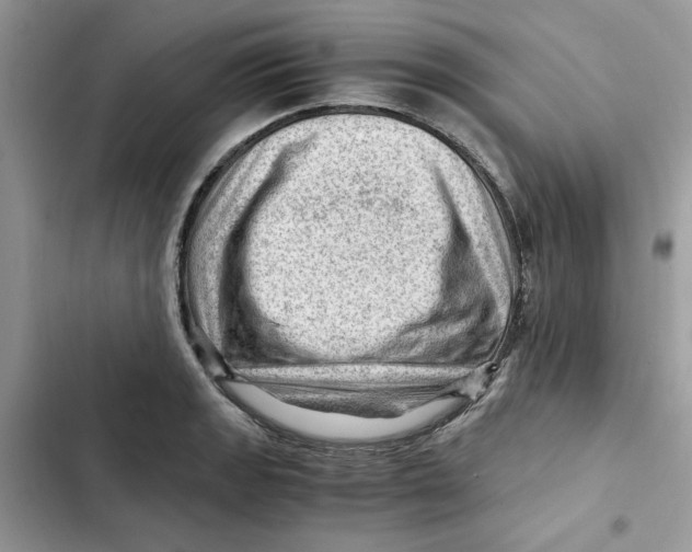 X0000101961133200808151309