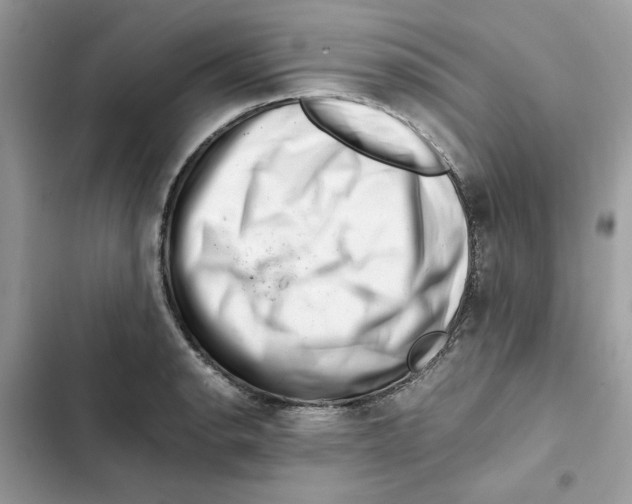 X0000101961134200808151309