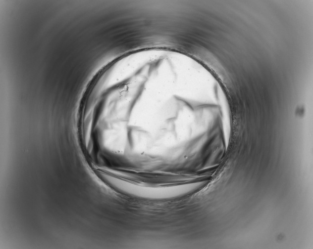 X0000101961135200808151309
