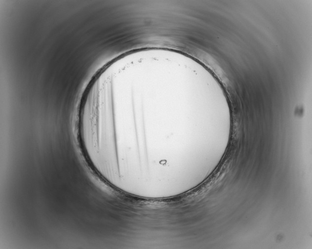 X0000101961136200808151309