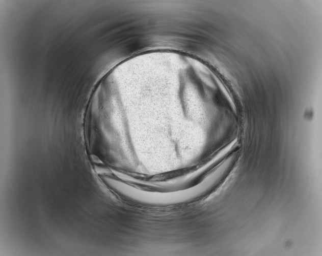 X0000101961137200808151309