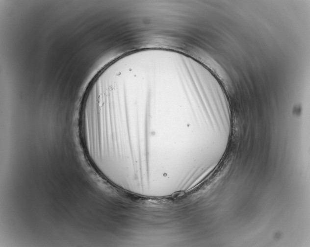 X0000101961138200808151309