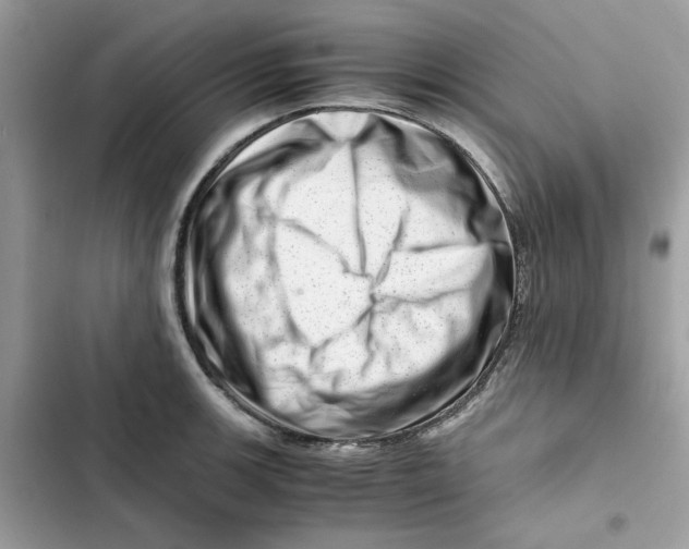 X0000101961139200808151309