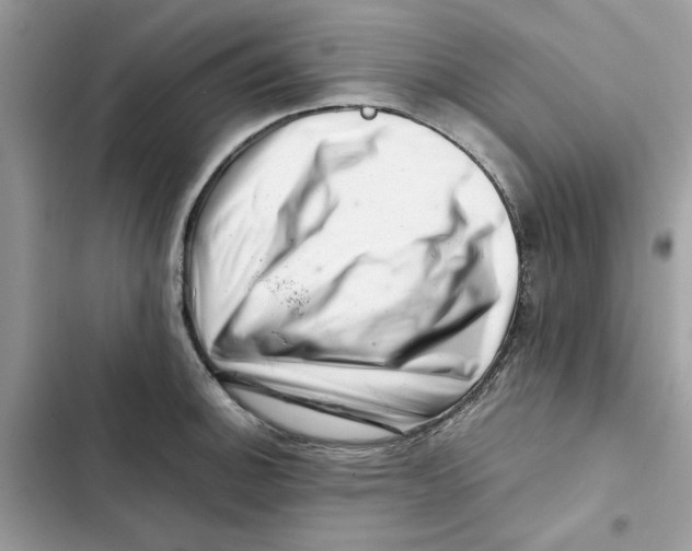X0000101961140200808151309